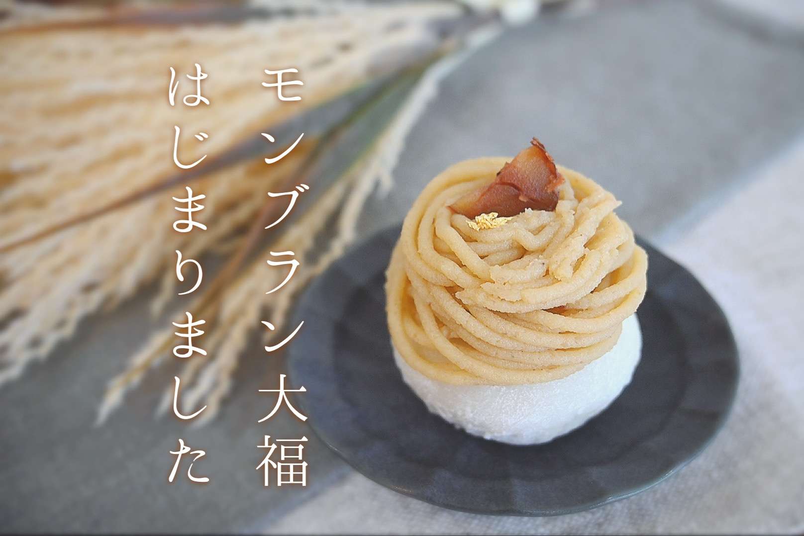 モンブラン大福始まりました