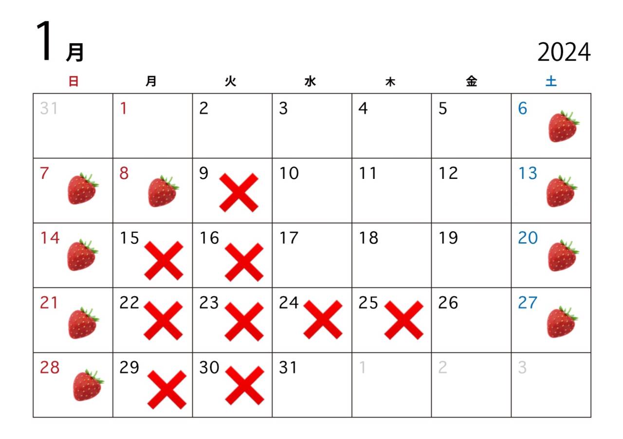 1月休業日のお知らせ